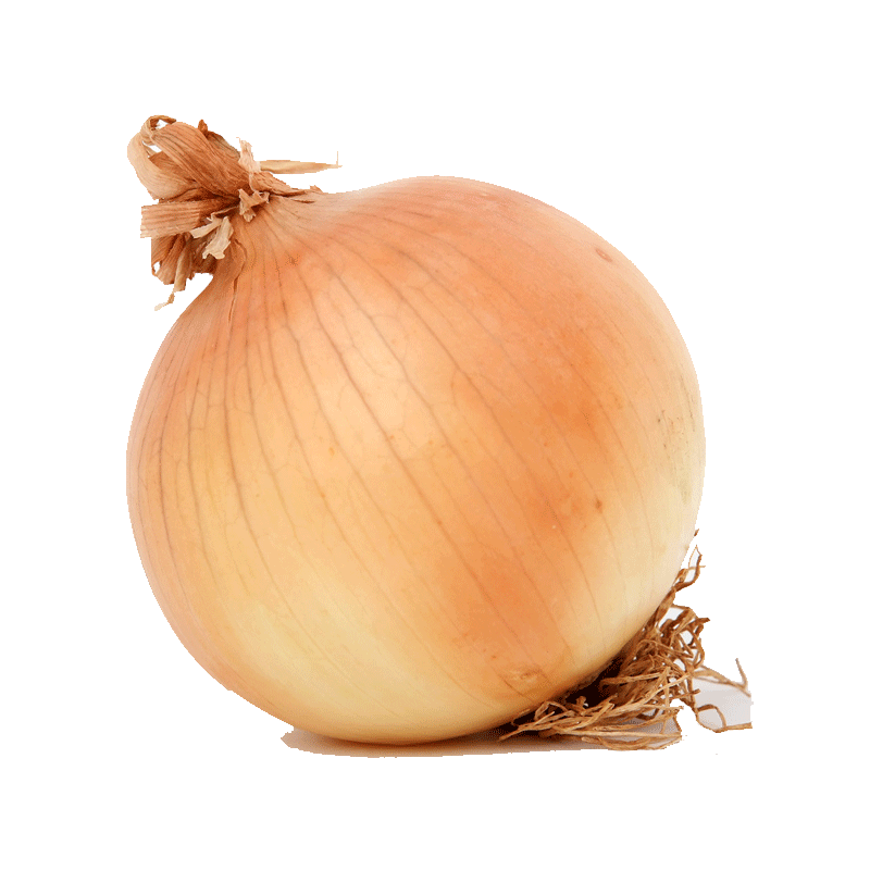 Picture of Organic Onion Yellow - lb