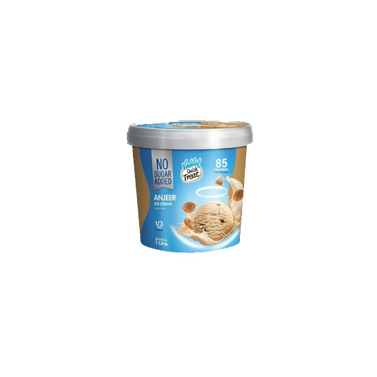 Picture of Vadilal Sugar Free Anjeer Ice Cream - 1lt