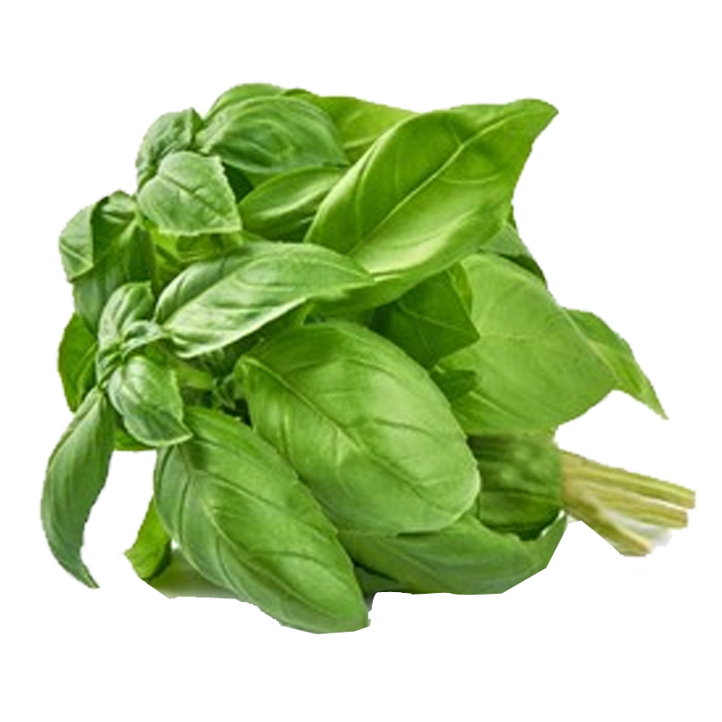 Picture of Fresh Basil Leaves - EA