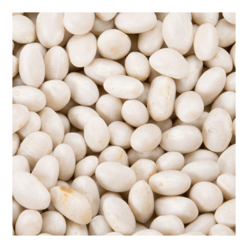 Picture of Mayuri White Soyabeans-2lb