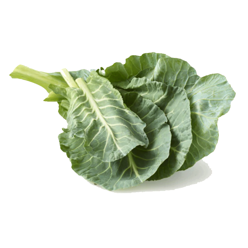 Picture of Organic Collard Green - EA