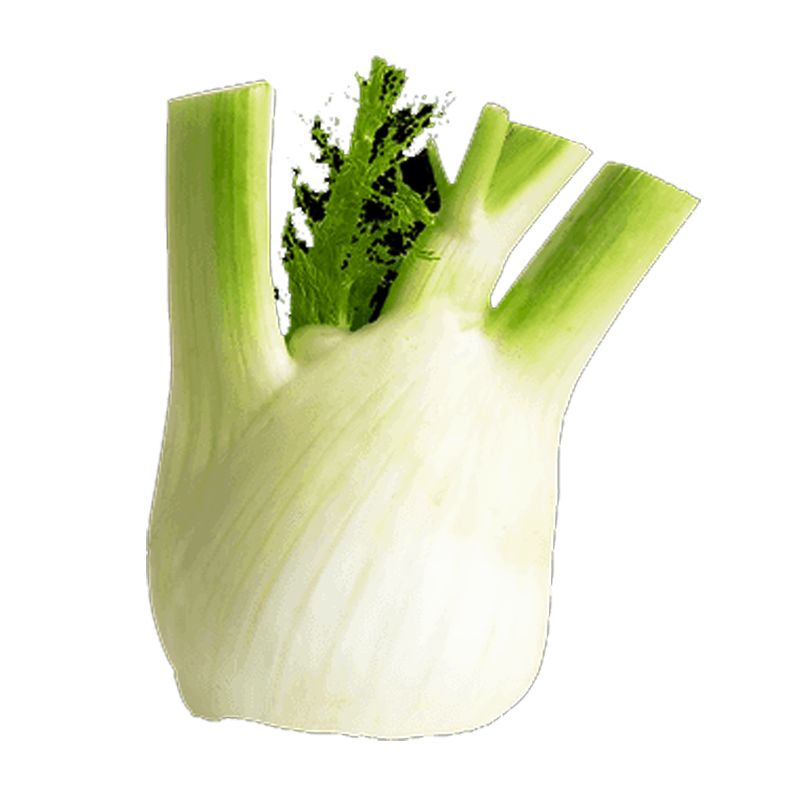Picture of Fennel Leaves - EA