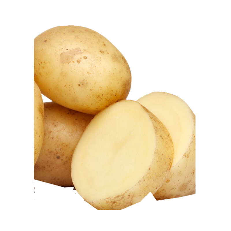 Picture of Potato Russel - 5lb