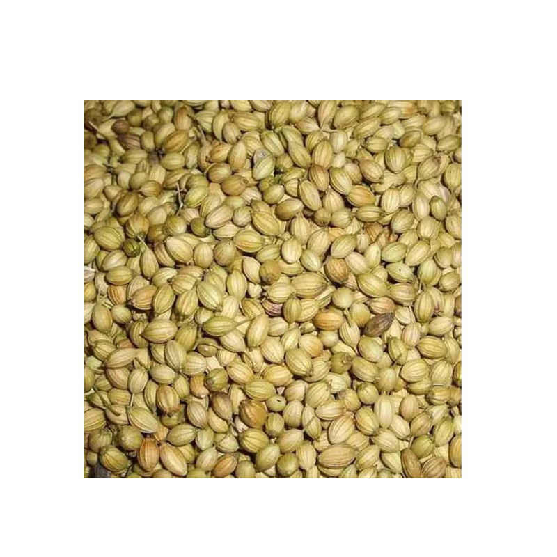 Picture of Khushboo Coriander Seeds - 14oz