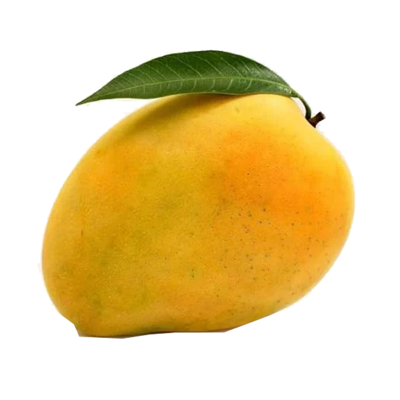Picture of Indian Mango Baganpali - EA