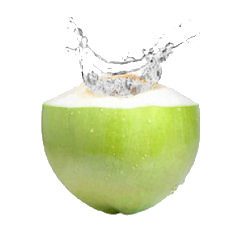Picture of Fresh Coconut Juice - EA