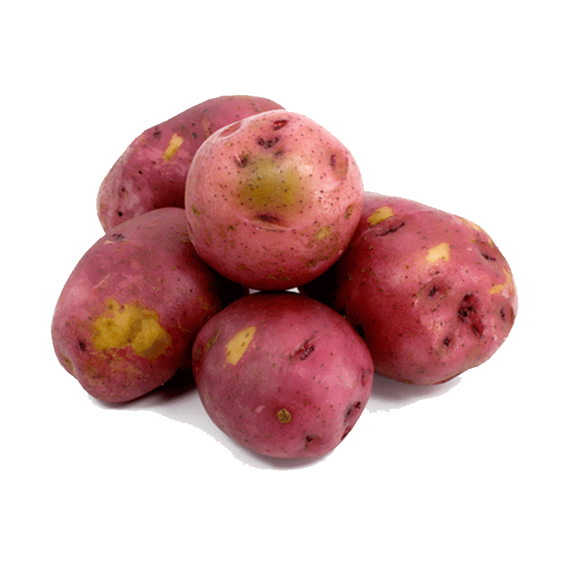 Picture of Organic Potato Red - 5lb