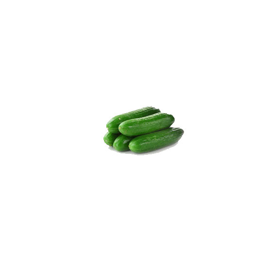 Picture of Cucumber Baby-LB