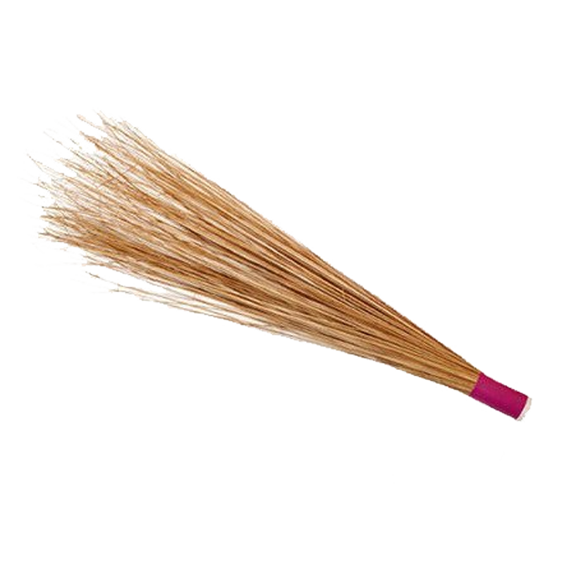 Picture of Broom Sali Hard - ea