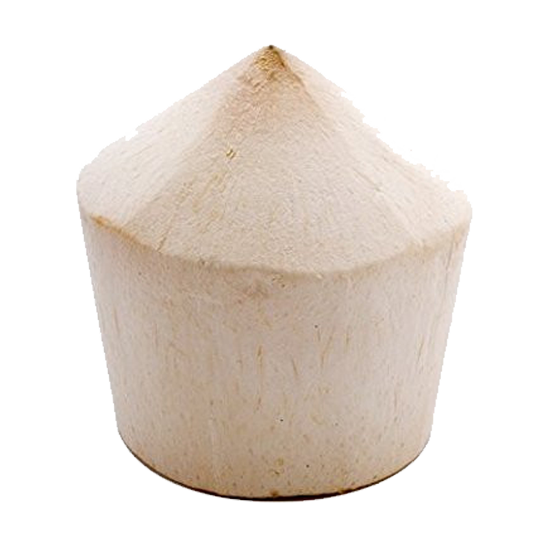 Picture of Fresh Coconut Young - EA