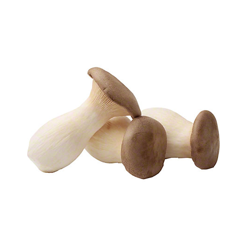 Picture of Champs Oragnic Mushrooms White Hokio King Oyster - 6oz