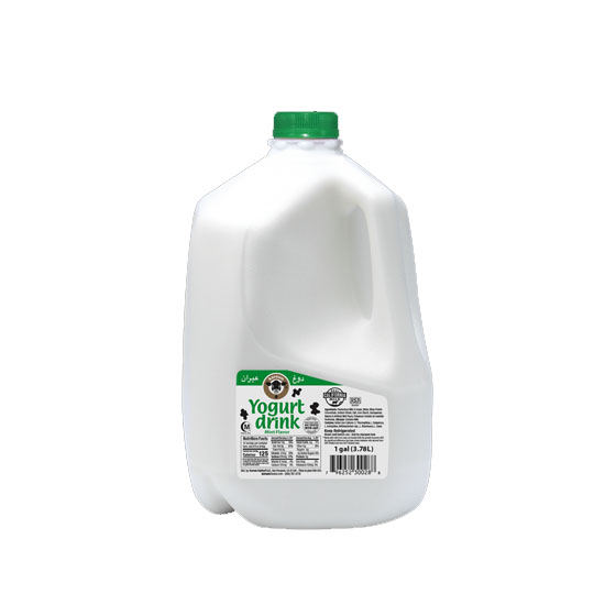 Picture of Karoun Yogurt Drink Mint - 1gl