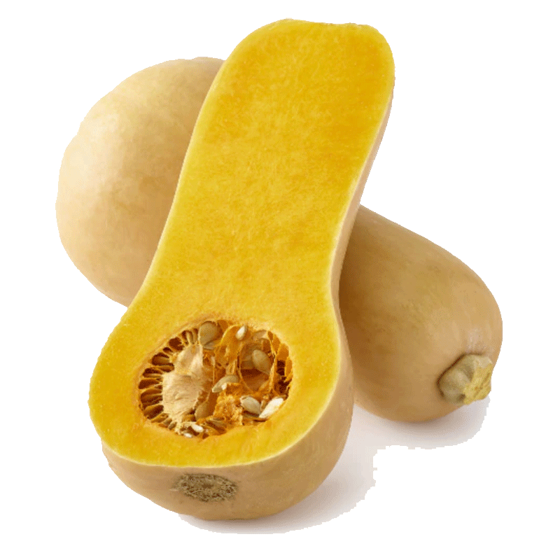 Picture of Organic Squash - lb