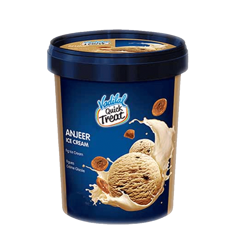 Picture of Vadilal Anjeer Ice Cream FRZ - 500ml