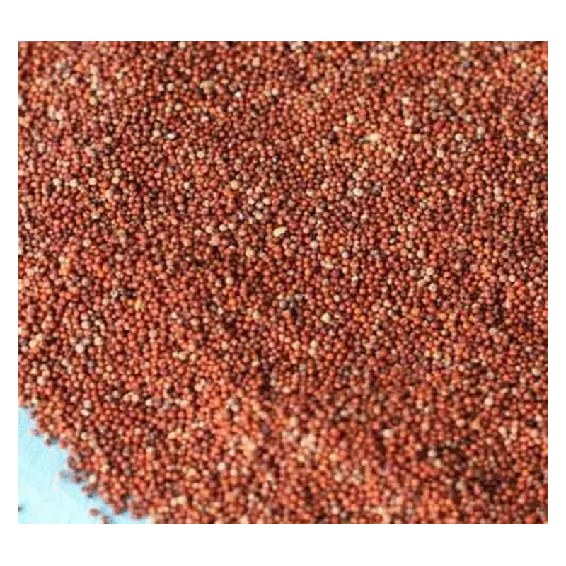 Picture of Organic Ragi Whole Grain - 2lb