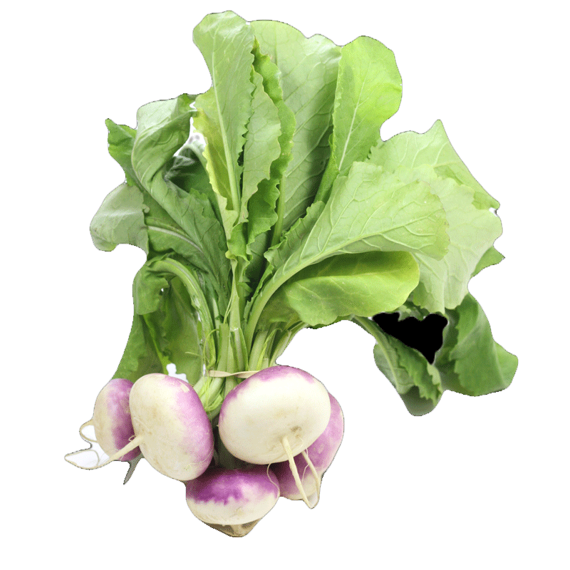 Picture of Organic Turnip - lb