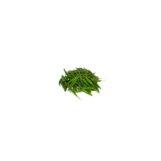 Picture of Chilli Thai-LB