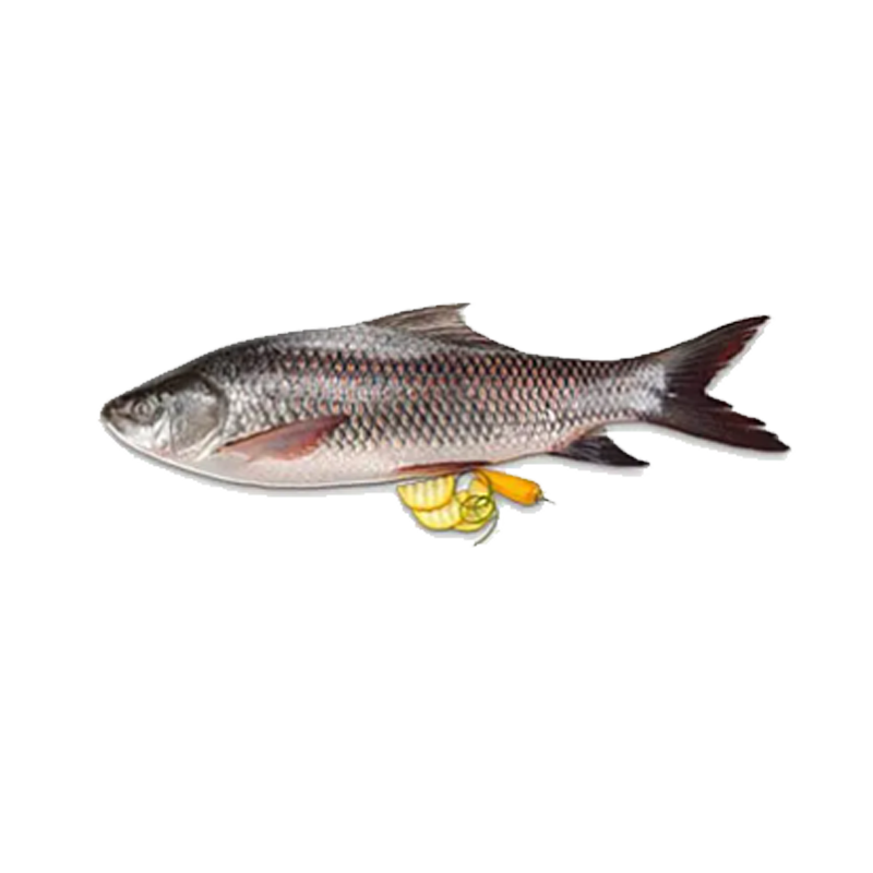 Picture of Sea King Rohu Steak FRZ - 1kg