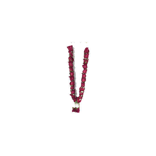 Picture of Fresh Indian Button Rose Garland 1ft - EA