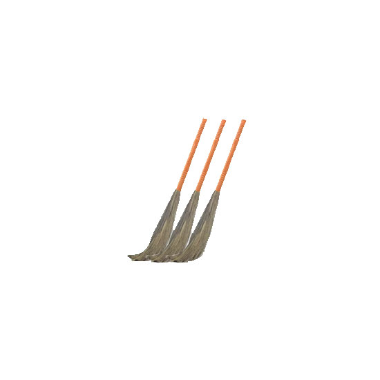 Picture of Broom Each