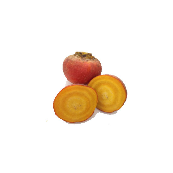 Picture of Beets Gold-LB