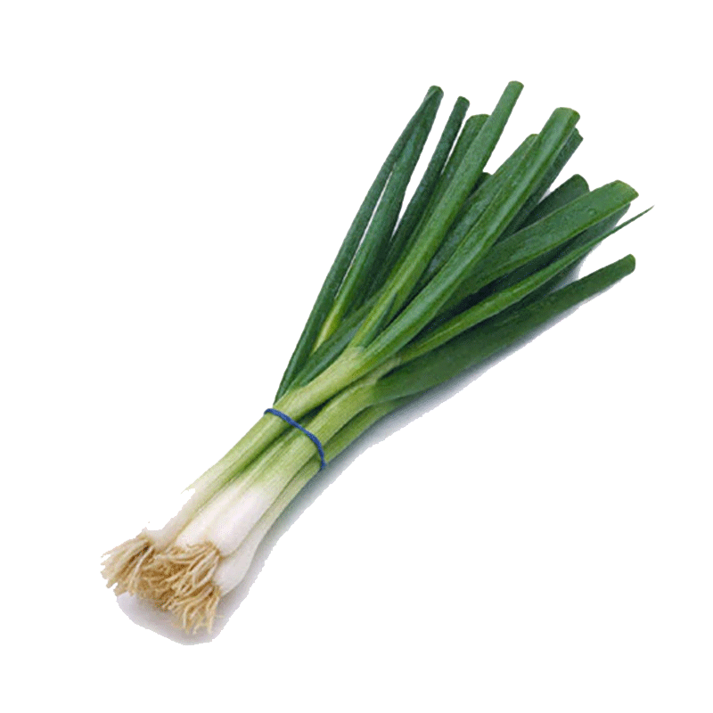 Picture of Onion Green Spring - EA