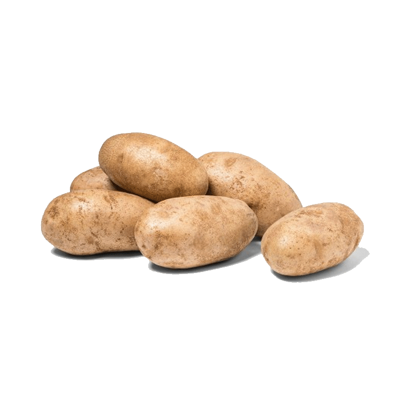 Picture of Organic Potato Russet Bag - 3lb