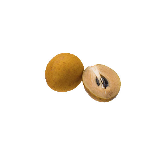Picture of Chikoo Sapota-LB