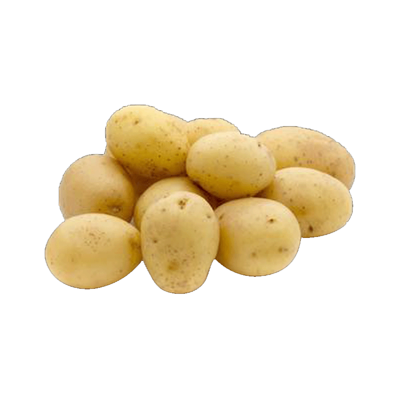 Picture of Organic Potato Honey Gold White -1.5lb