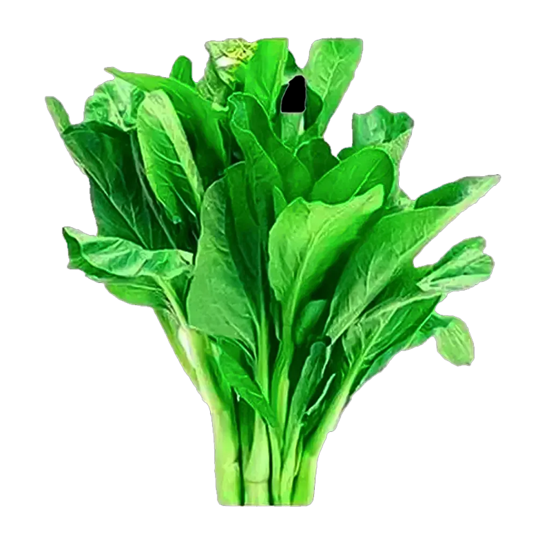Picture of Fresh Shelihon Mustard Leaves - EA