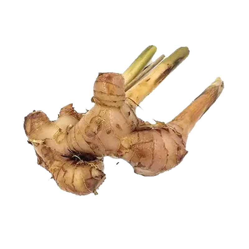 Picture of Ginger Fresh Thai - Pkt