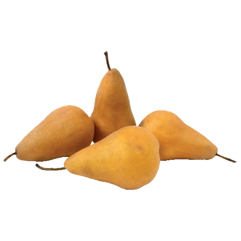 Picture of Organic Pear Bosc Tote - 2lb