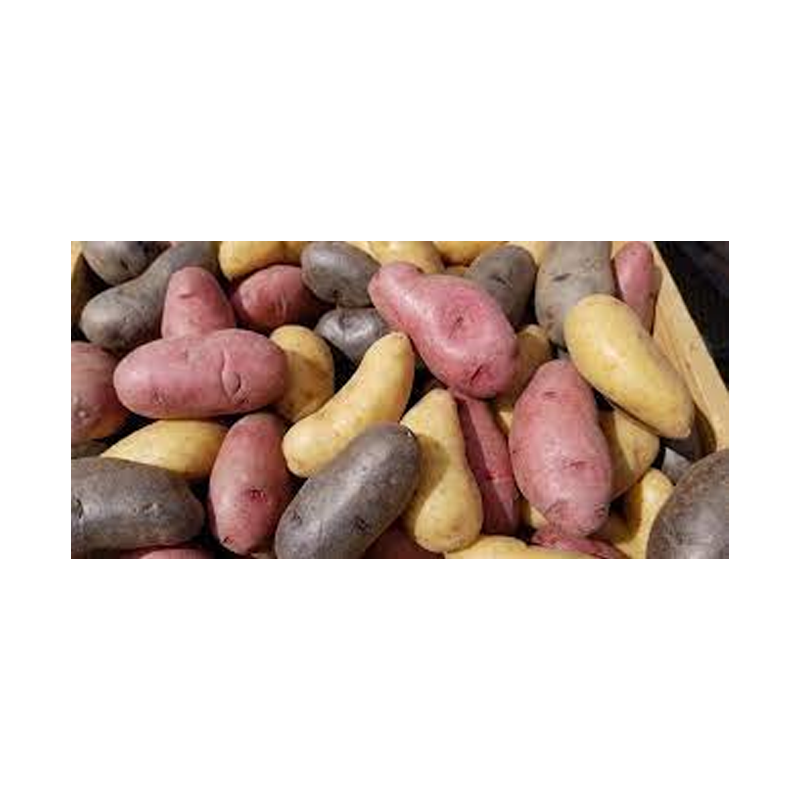 Picture of Fingerling Mix Potatoes - 1lb