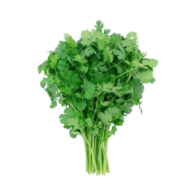 Picture of Pure Pacicfic Organic Cilantro - EA