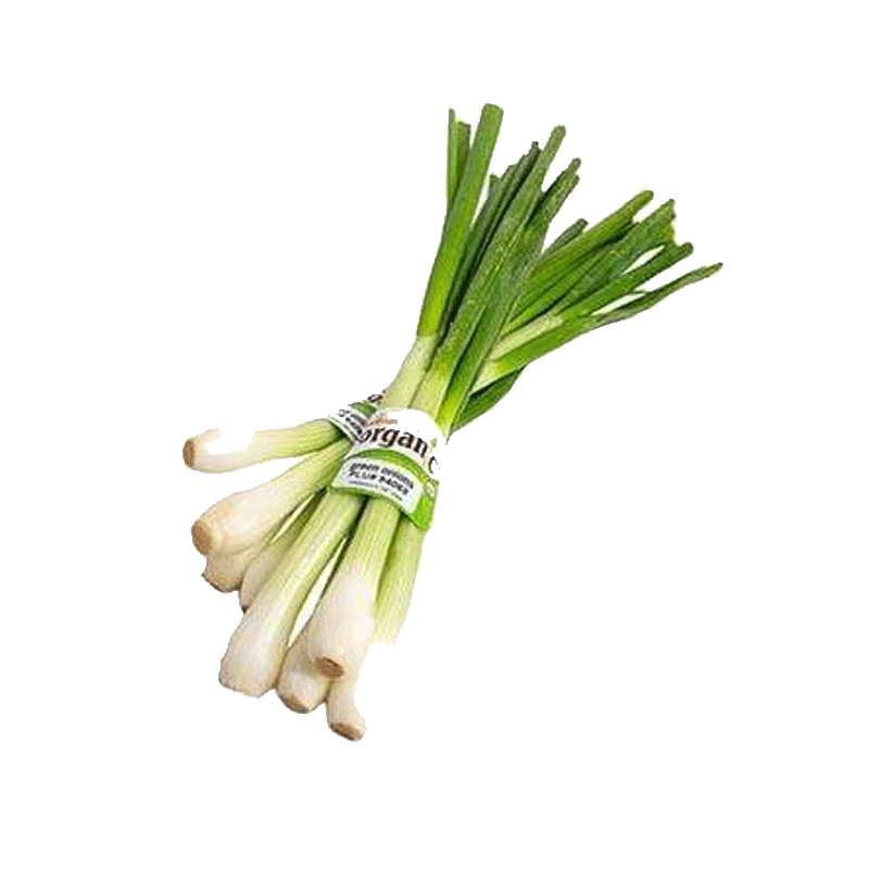 Picture of Organic Onion Green - EA