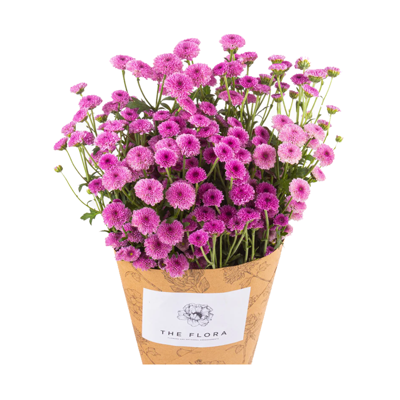 Picture of Fresh Button Mums Flower Bouquet - Ea