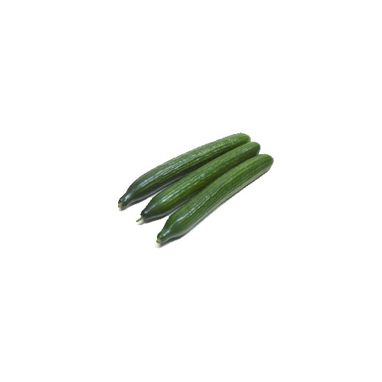 Picture of Cucumber Long-LB