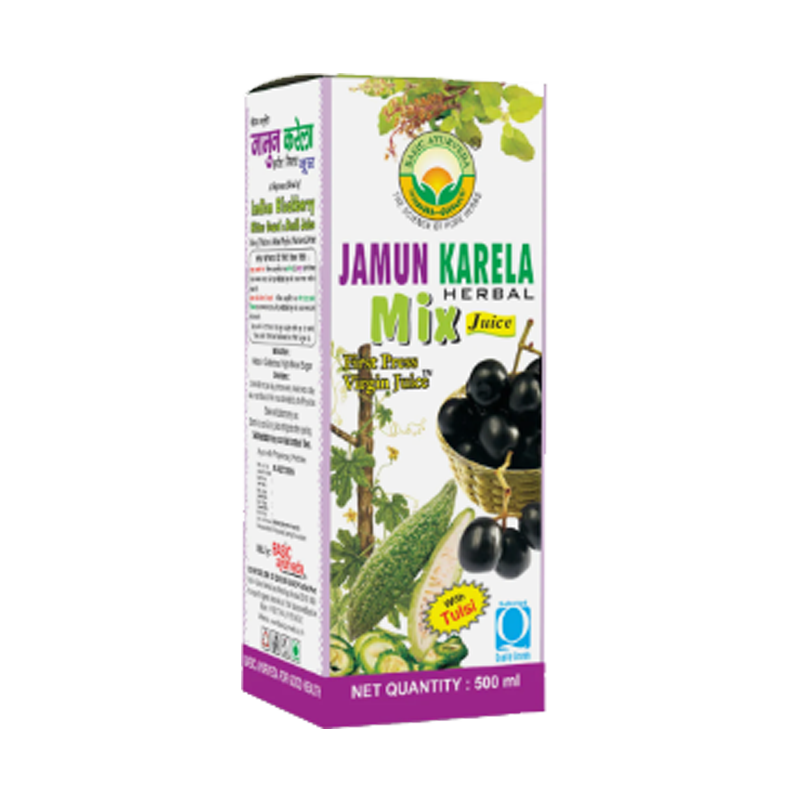 Picture of Basic Ayurveda Jamun Karela Juice - 480ml