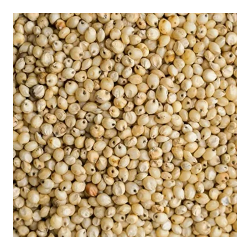 Picture of Jawar Seeds Bulk - LB