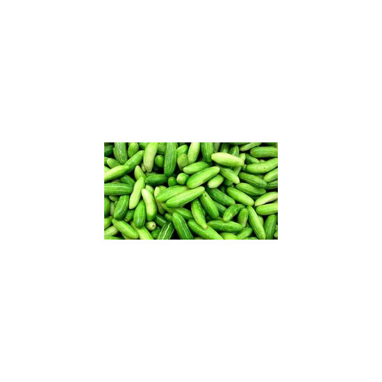 Picture of Tindora Fresh - Pkt