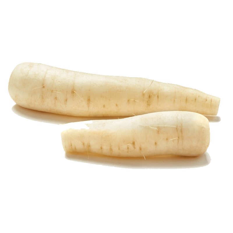 Picture of Organic Korean Daikon - lb