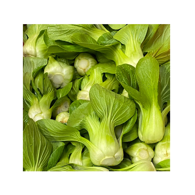 Picture of Baby Bok Choy - lb