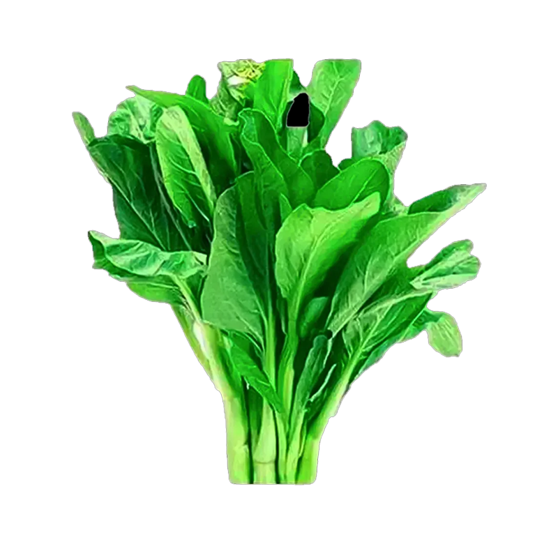 Picture of Mustard Leaves Bunch - EA