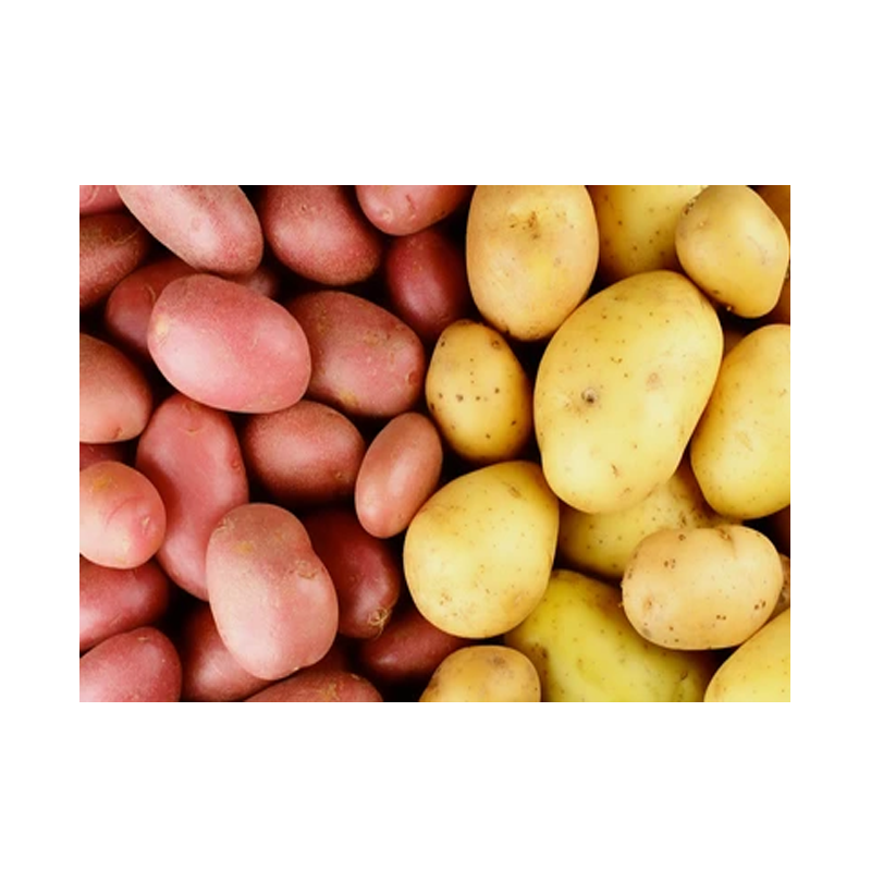 Picture of Potato Yellow Red - 2lb