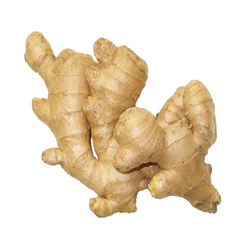 Picture of Mayuri Fresh Ginger Pkl-1/2