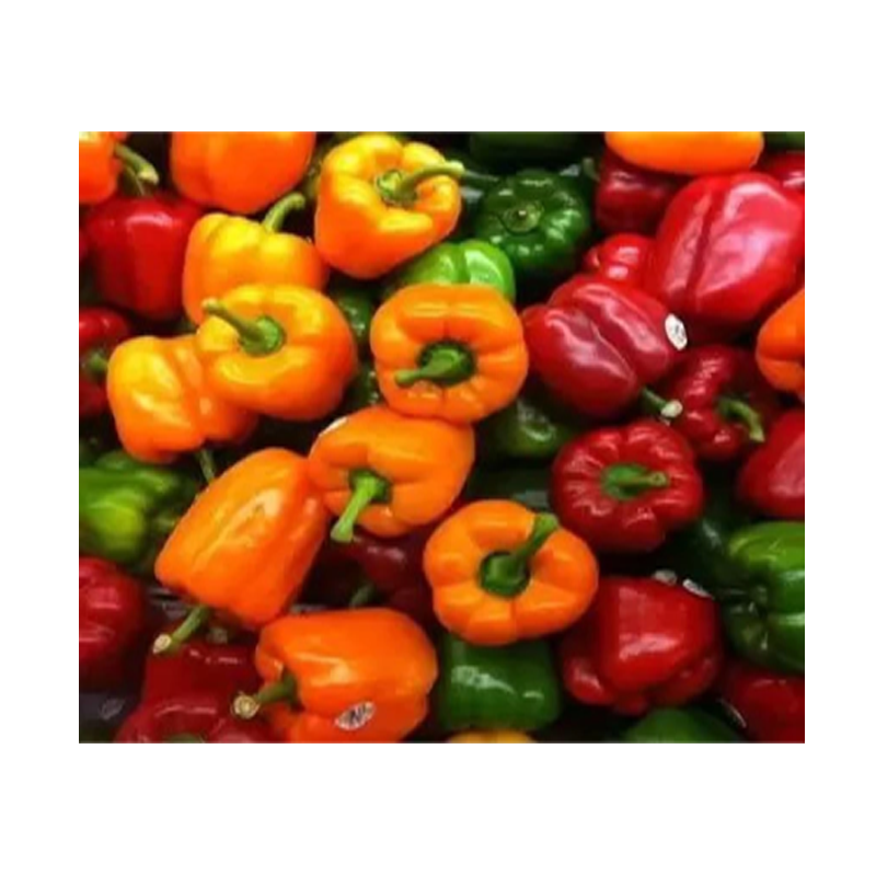Picture of Bell Pepper Red Orange - pkt