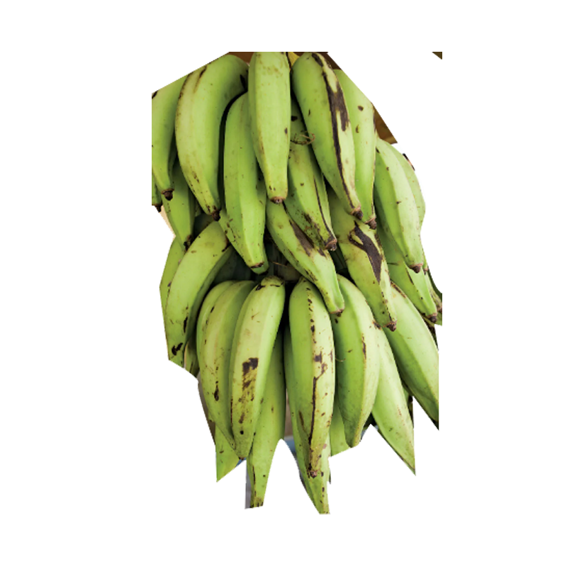 Picture of Plantain - lb