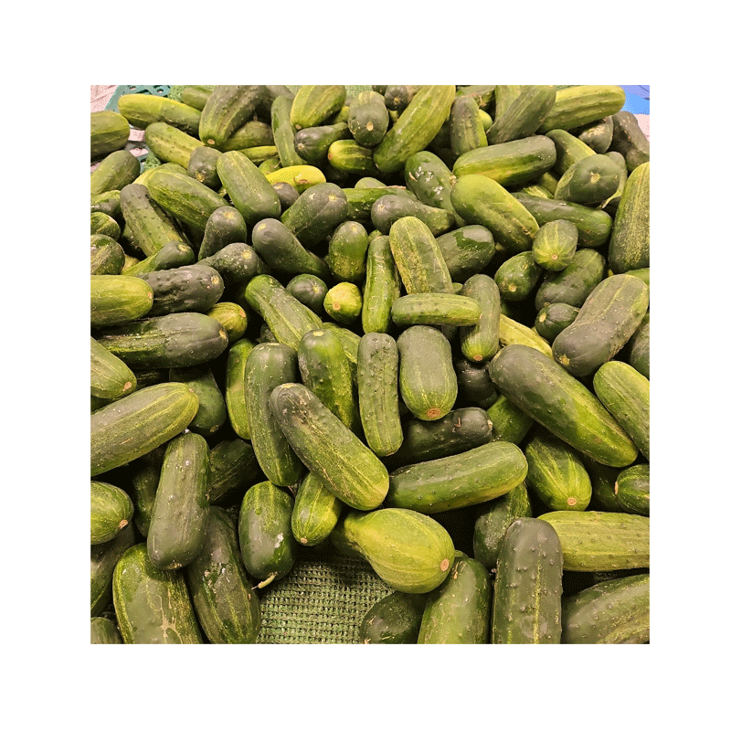 Picture of Cucumber Pickle - 1lb