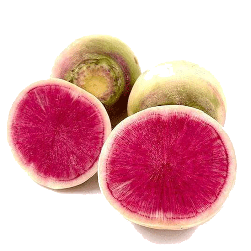 Picture of By the Farm Fresh Watermelon Radish - 16oz