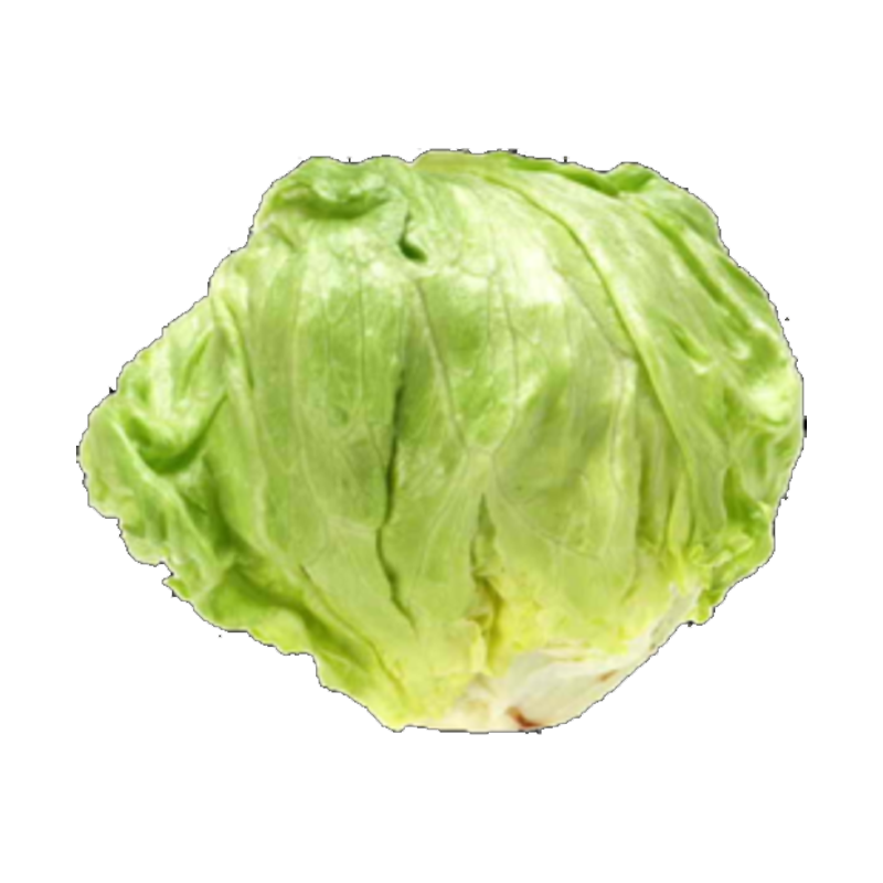 Picture of Lettuce - EA